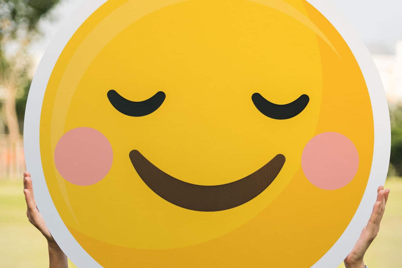 The Biggest Factor for Conversions—Emotion